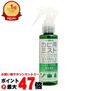 【最大400円OFFクーポン】コロンブス レザーキュア カビ用ミスト プラチナ 100ml【宅配便送料無料】 (6053062)