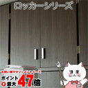 【直送】ロッカー シリーズ 上置き 棚 ラック 単品【FRM-3004-DB】【ダークブラウン】【宅配便送料無料】※他商品との同梱不可【TLB】(6031339...