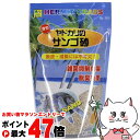 三晃商会 オカヤドカリのサンゴ砂 800g【happiest】【SBT】(6035396)