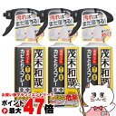 【お買い物マラソン最大47倍】【セット】レック 茂木和哉カビとりジェルスプレー 320ml×3個 C00404【宅配便送料無料】 (6041978-set2)