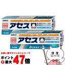 【お買い物マラソン最大47倍】【第3類医薬品】【セット】アセス 160g×2個【ミント/歯磨き粉】【佐藤製薬】【その他医薬品】【宅配便送料無料】 (604244...