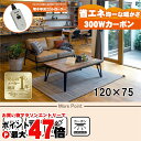 【直送】リビングコタツ【ルーン120WN】 ブラウン HAGIHARA 萩原【120×75】【MCR-301E 300W面状カーボンヒーター】【宅配便送料無料】...