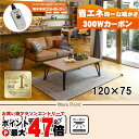 【直送】リビングコタツ【ルーン120NA】 ナチュラル HAGIHARA 萩原【120×75】【MCR-301E 300W面状カーボンヒーター】【宅配便送料無料...