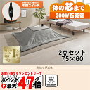 【お買い物マラソン最大47倍】【直送】こたつ+うす掛け布団 2点セット【カルテス7560MGY+ビケ7560GY】グレー/グレー HAGIHARA 萩原【75×...