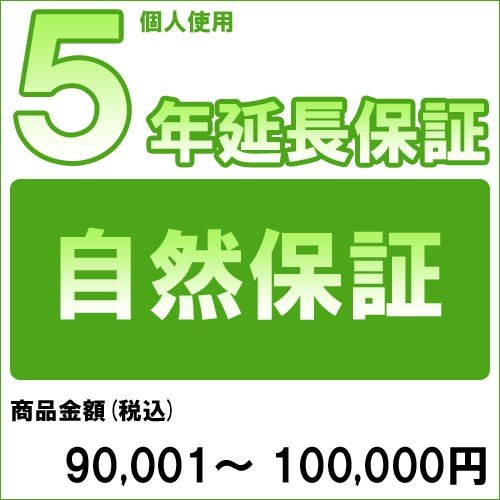 【対象商品のみ】個人5年延長保証(自然故障)商品金額 税込90,001円～100,000円用 (99990003-10)