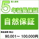 【クーポン配布中】【対象商品のみ】個人5年延長保証(自然故障)商品金額 税込90,001円～100,000円用【あす楽対応_関東】即納 (99990003..