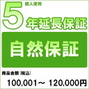 【300円オフクーポン残り僅か! 20代限定】【対象商品のみ】個人5年延長保証(自然故障)商品金額 税込100,001円〜120,000円用 (99990003...