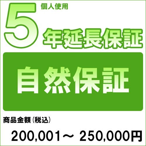 【対象商品のみ】個人5年延長保証(自然故障)商品金額 税込200,001円～250,000円用【あす楽対応_関東】(99990003-25)