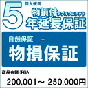 【20代限定!最大4000円OFFクーポン配布中】【対象商品のみ】個人5年物損付延長保証(自然故障+物損 商品金額)200,001円〜250,000円用 (99990005-25)(2)