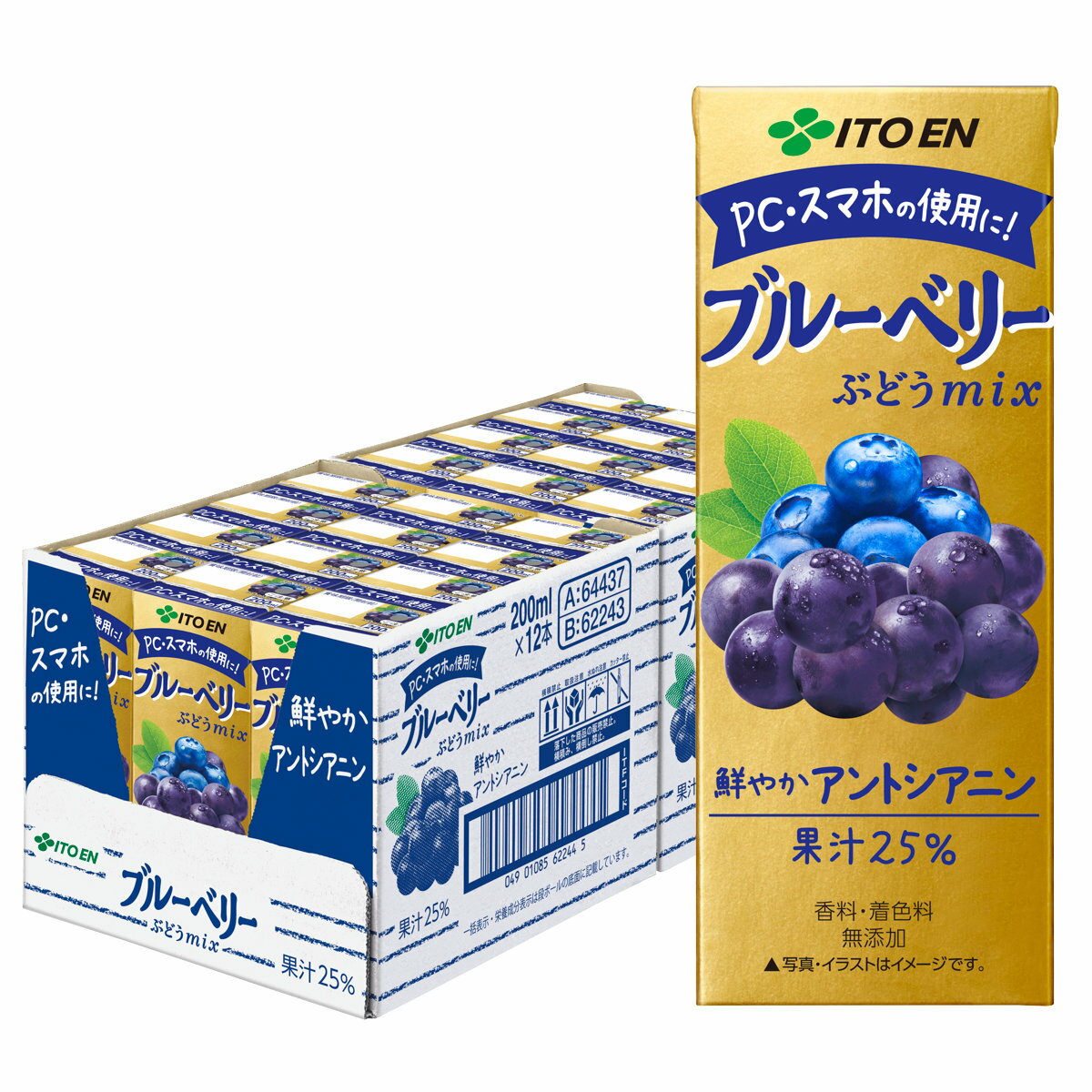 賞味期限24年12月以降 伊藤園 ブルーベリー ぶどうmix 200ml 24本入り 紙パック ぶどうミックス 果汁飲料 アントシアニン即納 ※他商品との同梱不可 (6050303)