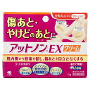 【お買い物マラソン】【第2類医薬品】アットノンEXクリーム 15g【皮膚の薬】【小林製薬株式会社】【メール便送料無料】(6045397)