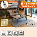 【最大400円OFFクーポン】【直送】リビングコタツ【ルーン120WN】 ブラウン HAGIHARA 萩原【120×75】【MCR-301E 300W面状カーボ...