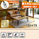 【20代限定!最大4000円OFFクーポン配布中】【直送】リビングコタツ【ルーン120NA】 ナチュラル HAGIHARA 萩原【120×75】【MCR-301...