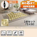 【最大400円OFFクーポン】【直送】こたつ+うす掛け布団 2点セット【カルテス7560MGY+スノウ7560SGR】グレー/グリーン(丸) HAGIHARA ...
