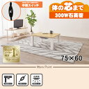 【最大400円OFFクーポン】【直送】カジュアルコタツ【KOT-7312-7560NA】ナチュラル HAGIHARA 萩原【75×60】【NCH-302 300...