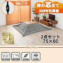 【20代限定!最大4000円OFFクーポン配布中】【直送】こたつ+うす掛け布団 2点セット【カルテス7560+ビケ7560GY】ナチュラル/グレー HAGIHA...