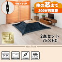 【最大400円OFFクーポン】【直送】こたつ+うす掛け布団 2点セット【カルテス7560+ビケ7560NV】ナチュラル/ネイビー HAGIHARA 萩原【75×...