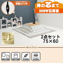 【20代限定!最大4000円OFFクーポン配布中】【直送】こたつ+うす掛け布団 2点セット【カルテス7560+スノウ7560SGY】ナチュラル/グレー(丸) H...