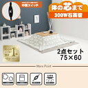 【最大400円OFFクーポン】【直送】こたつ+うす掛け布団 2点セット【カルテス7560+スノウ7560TGY】ナチュラル/グレー(三角) HAGIHARA 萩...