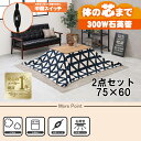 【最大400円OFFクーポン】【直送】こたつ+うす掛け布団 2点セット【カルテス7560+スノウ7560TNV】ナチュラル/ネイビー(三角) HAGIHARA ...