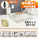 【20代限定!最大4000円OFFクーポン配布中】【直送】こたつ+うす掛け布団 2点セット【カルミナ950NA+スノウ950TGY】ナチュラル/グレー(三角)H...