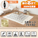 【最大400円OFFクーポン】【直送】こたつ+うす掛け布団 2点セット【アルテナ7560ANA+スノウ7560SGY】アンティークナチュラル/グレー(丸)HAG...