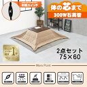 【20代限定!最大4000円OFFクーポン配布中】【直送】こたつ+うす掛け布団 2点セット【アルテナ7560+ビケ7560BE】ダークブラウン/ベージュHAGI...
