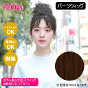 【バレないウィッグ】プリシラ めちゃ楽メガ団子ウィッグ ミディ DG-01M-TMB #耐熱マロンブラウン【日本製耐熱ファイバー100% ヘアアイロンOK 手洗いOK】【宅配便送料無料】 (6058332)