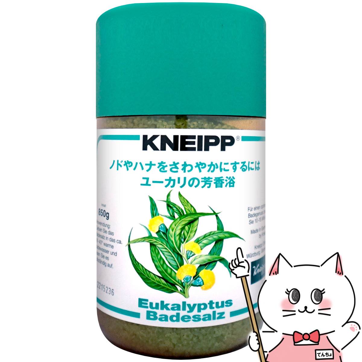 クナイプ クナイプ バスソルト 850g ユーカリ【バスソルト】【医薬部外品】【SBT】 KNEIPP