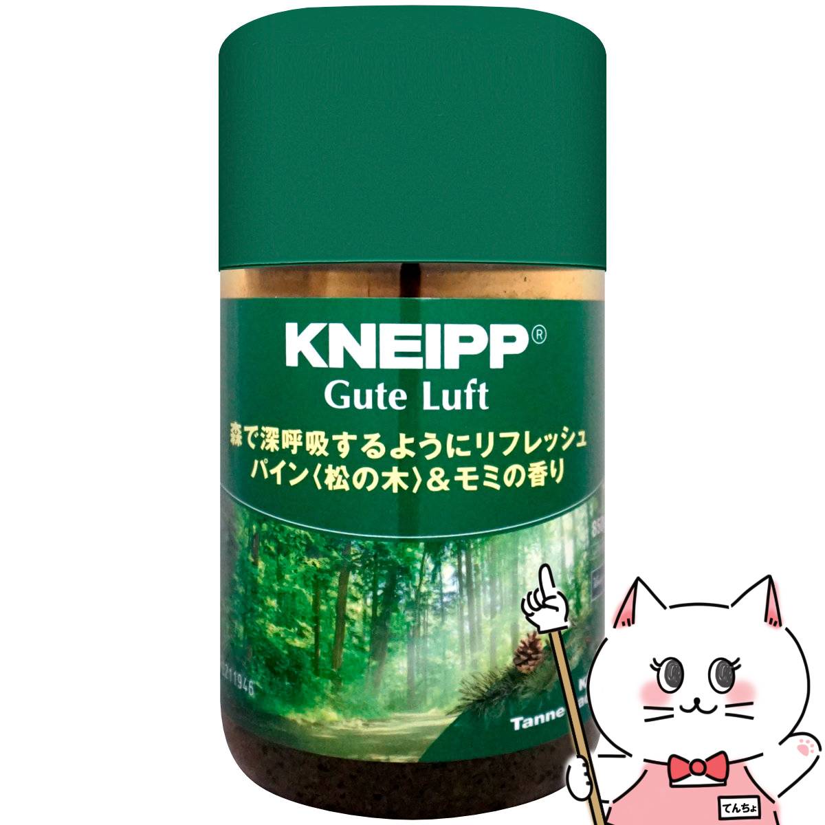 クナイプ クナイプ グーテルフトバスソルト 850g パイン&モミ【バスソルト】【SBT】 KNEIPP（6021083）