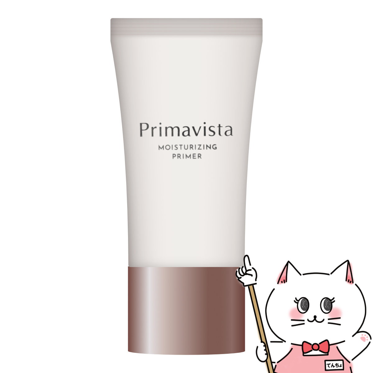 【クーポン配布中】花王 プリマヴィスタ スキンプロテクトベース(乾燥くずれ防止) 25g SPF20 PA++ 【メール便送料無…