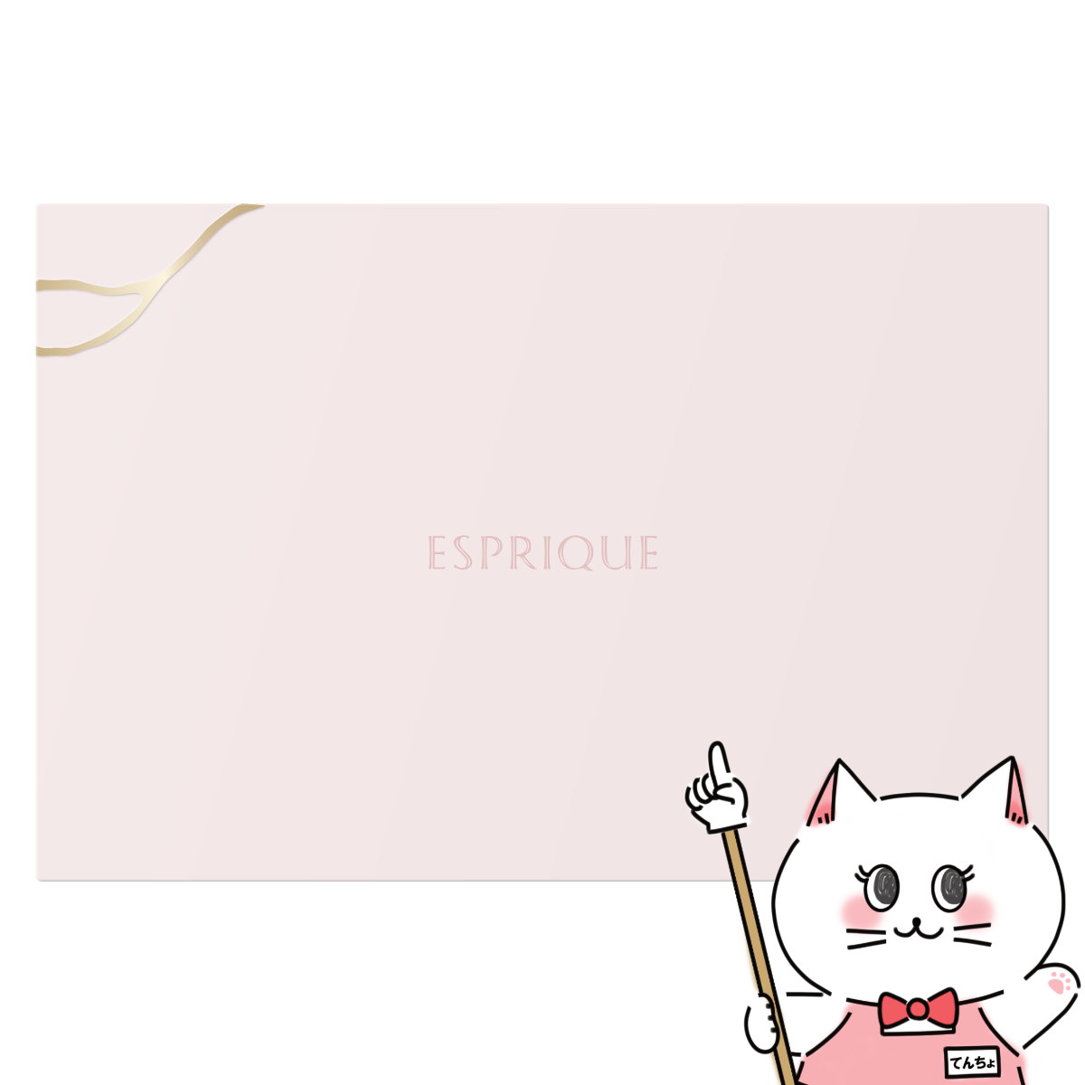 コーセー エスプリーク パウダーファンデーション用ケースB【メール便対応商品】【SBT】(6048965)のサムネイル