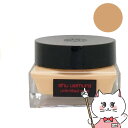 【国内正規品】シュウウエムラ アンリミテッドケア セラムインクリームファンデーション 35ml #764 SPF21 PA+++【メイクアップ フェイス ファンデーション】 shu uemura 【宅配便送料無料】(6057215)