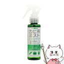 【お買い物マラソン】コロンブス レザーキュア カビ用ミスト プラチナ 100ml【SBT】 (6053062)