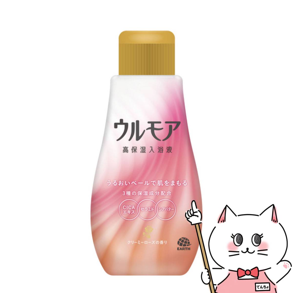 ں400OFFݥۥ ⥢ ݼ ꡼ߡι 600mlѲ  Ρ SBT (6062402)