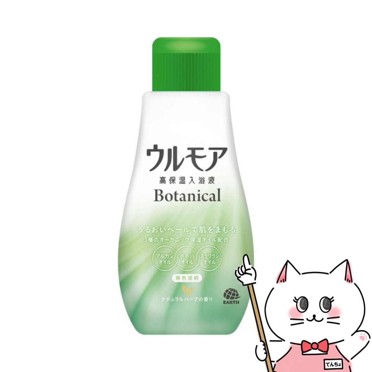 ں400OFFݥۥ ⥢ ݼ ܥ˥ʥϡ֤ι 600mlѲ  Ρ ̵ ...