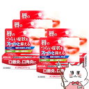 【最大400円OFFクーポン】【指定第2類医薬品】【セット】メディケア デンタルピルクリーム 5g×5個【森下仁丹】【その他医薬品】【セット】【メール便送料無料...