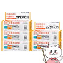 【超ポイントバック祭 最大22倍】【指定第2類医薬品】【セット】リンデロンVsクリーム 10g×5個(セルフメディケーション税制対象)【皮膚の薬】【シオノギヘル...