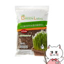 エイムクリエイツ GEEN Labo Dog & Cat Grass soil 犬と猫が好きな草の栽培用土 3L(6031620)