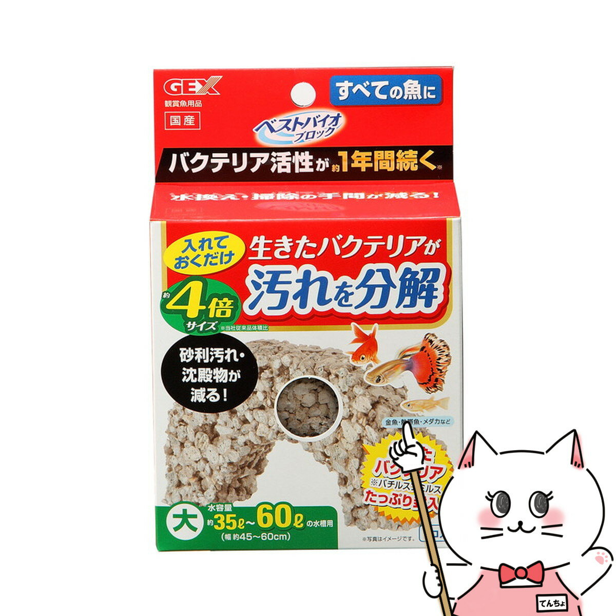 【最大400円OFFクーポン】ジェックス ベストバイオブロック 大【happiest】【SBT】 (6034192)