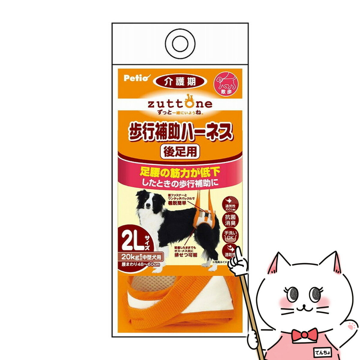 ڤ㤤ʪޥ饽ۥڥƥ Ϸ ϡͥ ­K 2LhappiestۡSBT(6036273)