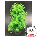 【300円オフクーポン残り僅か! 20代限定】スペクトラムブランズジャパン テトラ フレキシブルプラント FP-7【happiest】【SBT】(6041450...