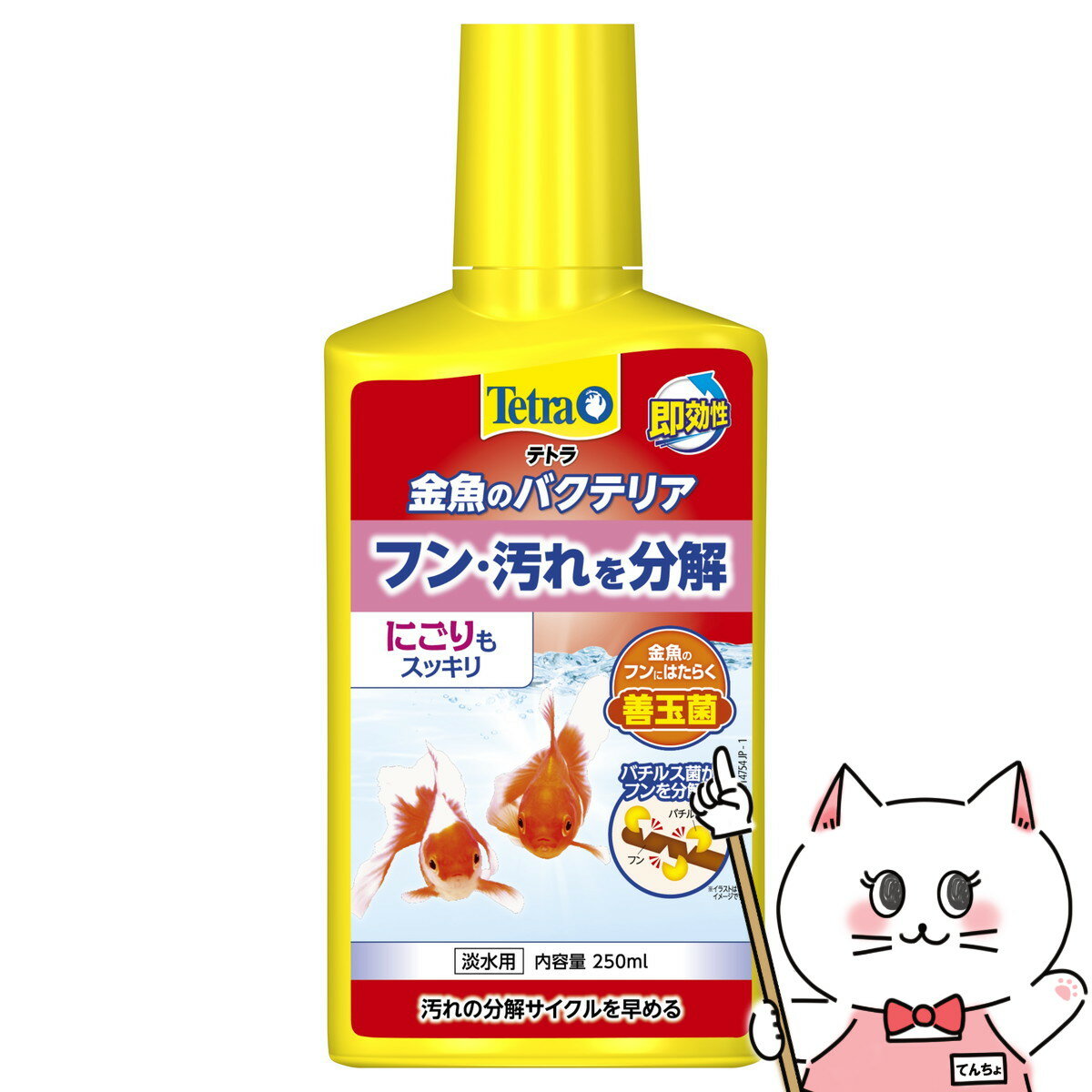 【最大400円OFFクーポン】スペクトラムブランズジャパン テトラ 金魚のバクテリア 250ml【happiest】【..