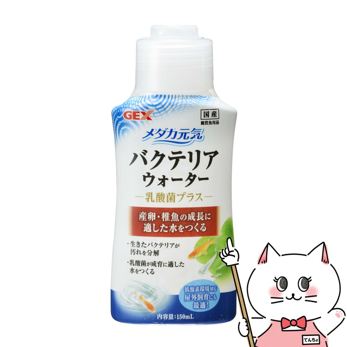 ジェックス メダカ元気 バクテリアウォーター 150ml【happiest】【SBT】 (6046642)