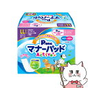 おしっこを瞬間パワフル吸収！愛犬の生理・マーキング・おもらし・介護のほか、お出かけ時のマナーなど様々なシーンで大活躍の「マナーパッドActive」のお徳なビッグパック。銀イオン消臭シートと抗菌ポリマーの力でニオイ対策も安心。専用(別売)のマナーホルダーActiveや、マナーおむつとの併用で衛生・経済的にご使用頂けます。メーカー/ブランド第一衛材 株式会社材質表面材：ポリオレフィン系不織布吸収材：吸収紙・綿状パルプ・高分子吸水材防水材：ポリエチレンフィルム止着材：ホットメルト結合材：ホットメルト本体サイズシートサイズ：W12×H33cm適応胴周りサイズ45〜65cm適応体重12〜25kg代表犬種ゴールデンレトリバー、ダルメシアン、ラブラドールレトリバーなど区分日本製/ペット用品広告文責ピュアクリエイト株式会社TEL:048-529-7355
