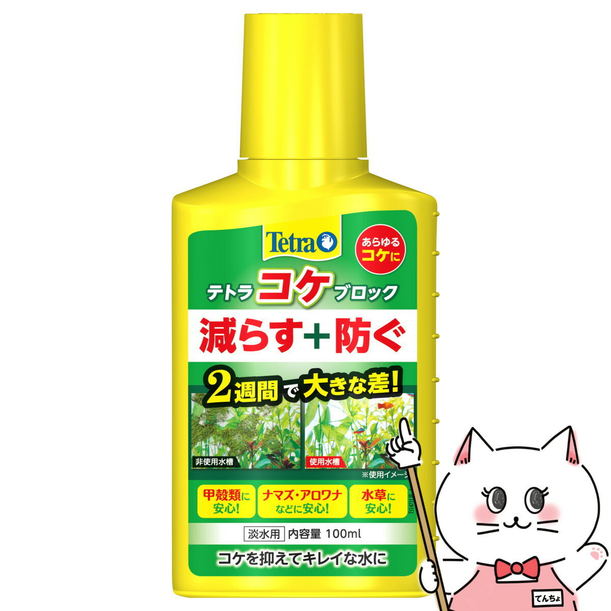 スペクトラムブランズジャパン テトラ コケブロック 100ml【happiest】【SBT】 (6046939)