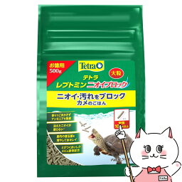 【クーポン配布中】スペクトラムブランズジャパン テトラ レプトミン ニオイブロック大粒 500g【happiest】【SBT】 (6046956)