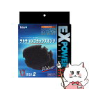 【クーポン配布中】スペクトラム ブランズ ジャパン テトラ VXブラックスポンジ(60/75/90用)2枚入【happiest】【SBT】(6051752)