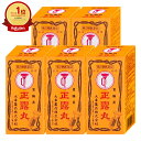 【お買い物マラソン最大47倍】【第2類医薬品】【セット】正露丸 100錠×5個【大幸薬品】【下痢止め・整腸剤】【宅配便送料無料】 (6053236-set3)