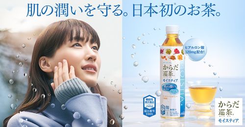 メーカー直送/美肌保湿ならヒアルロン酸配合【からだ巡茶 モイスティア 410ml ペットボトル 24本入】機能性表示食品/全国送料無料